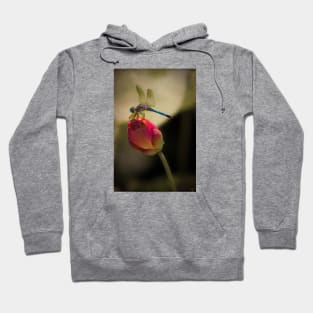 Lotus Bud and Dragonfly On the Lily Pond Hoodie